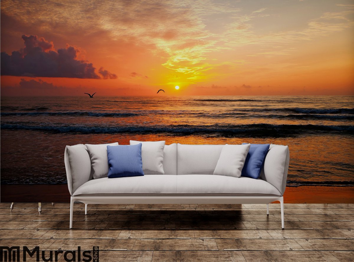 MuralsShop's tweet photo. Sunrise Wall Mural. Get the wallpaper you really want. Over 1500+ high-quality murals available. Made-To-Measure. Safe &amp; Secure. Fast Worldwide Delivery. 
https://t.co/Udnu5xXhcQ #homedecorate #homedecorinspiration #homedecormurah #homedecorlover  #WallMural #homedecor #photowa https://t.co/7D61ZAbw2L