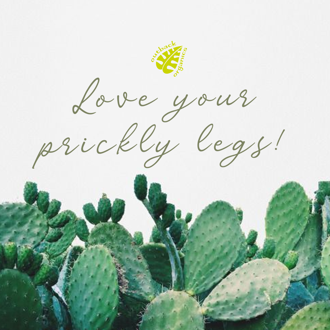 OutbackOrganics's tweet photo. Ladies &amp; Gentlemen...

You might be tempted to pick up the razor and shave away right now, but our advice to you is to #EmbraceThePrickles and love your prickly legs! 🌵

Maximise the benefits of self-isolating, &amp; use it for the essential “growing out phase” https://t.co/w22gUMMOot