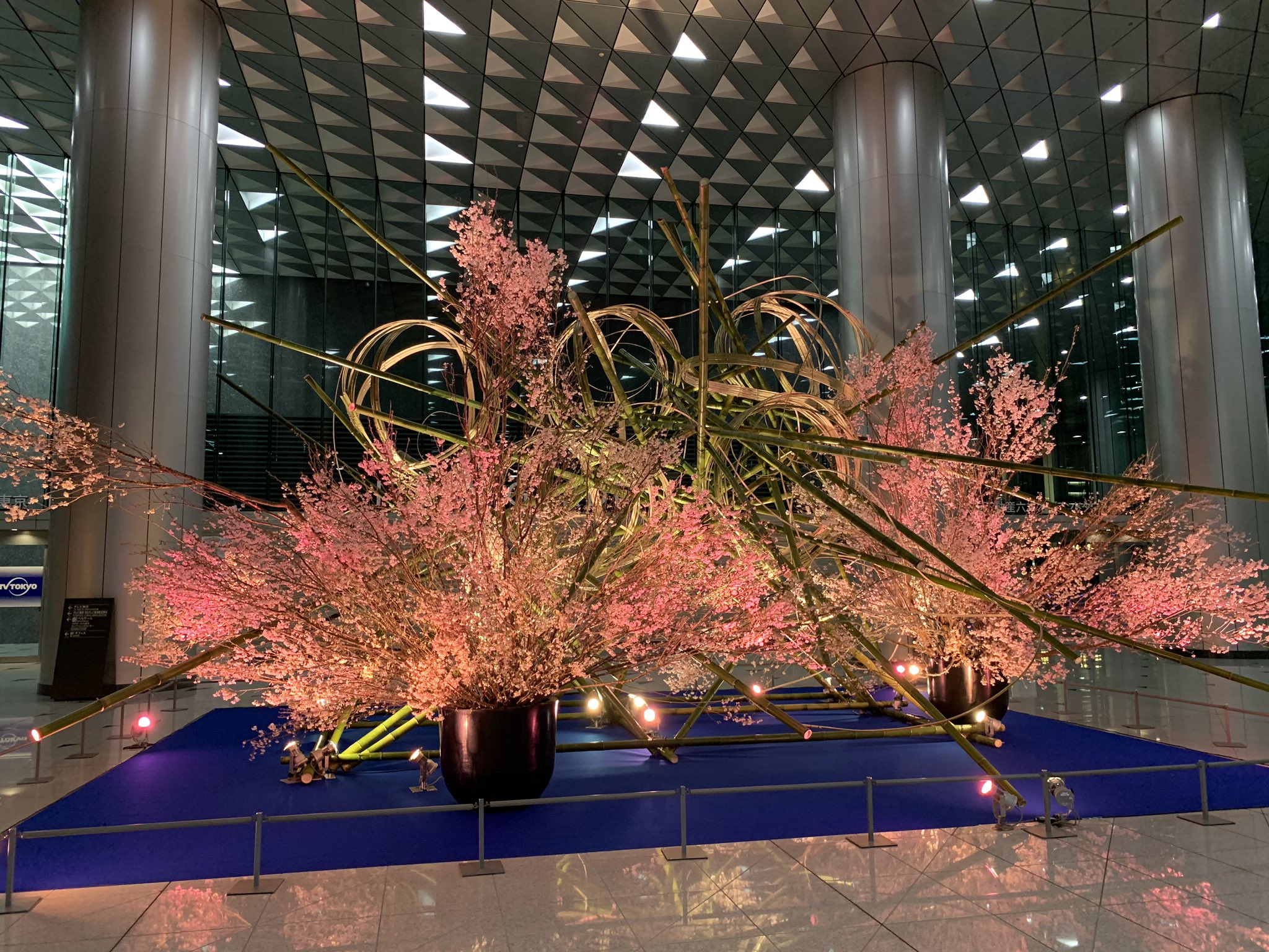 へびぃ 例のオブジェ 花が追加されてライトアップ T Co apnnesoe Twitter