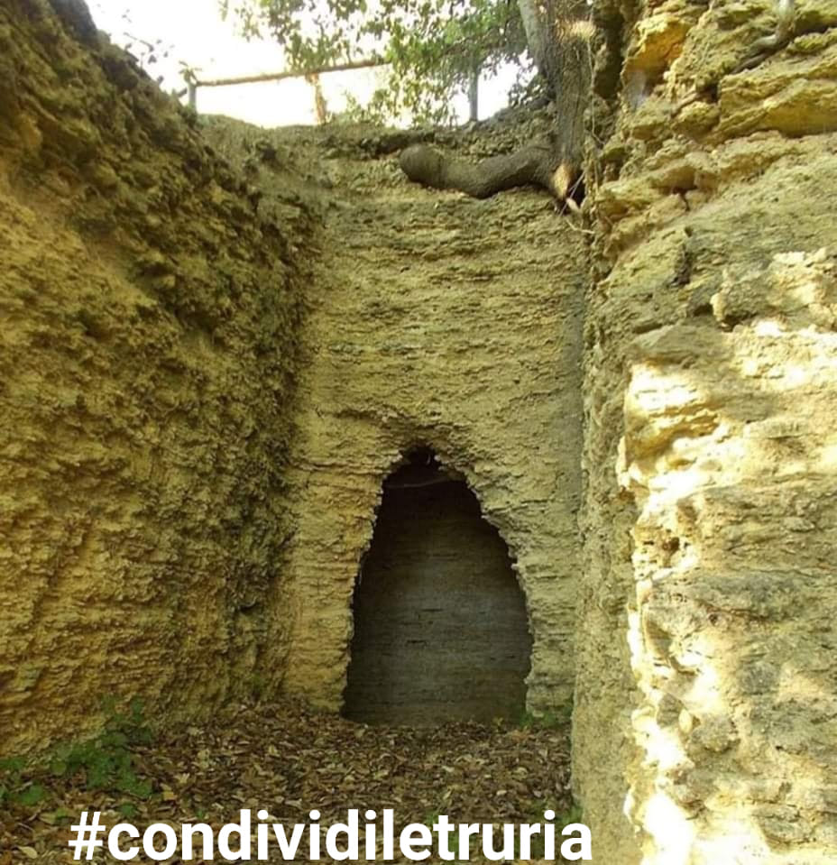 La campagna #condividiletruria !!Facciamo girare questi scatti sul web perché possano essere di spunto ( quando tutto tornerà alla normalità ) per i vostri prossimi viaggi🆘Aiutateci ripescando dai vostri cellulari e PC foto e condividete l'# ! 👉necropoli etrusca di Poggio Pinci