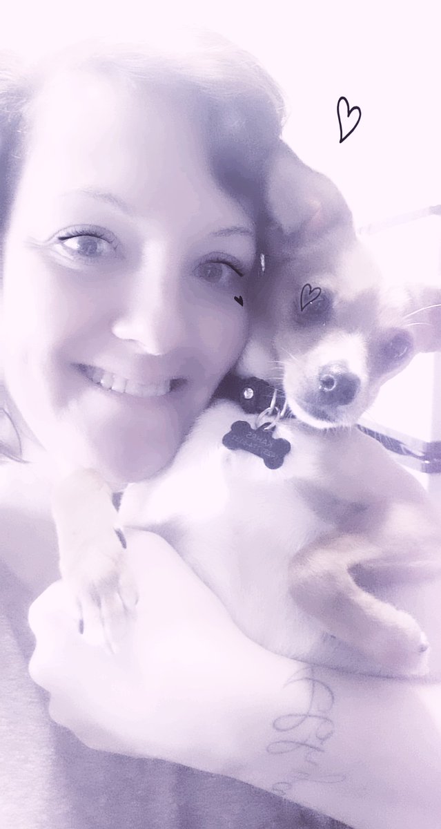 AliciaKahrs's tweet image. #posewithyourpet #virtualspiritweek #ccsathomelearning @ArnoldMustangs @Stuartbulldogs