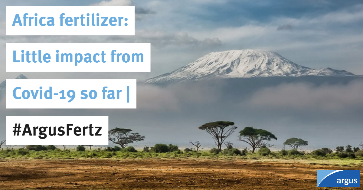ArgusMedia's tweet photo. There has been much doom and gloom written about the consequences of the #coronavirus outbreak on the African #fertilizer market. But while it is early days, it is largely a case of business as usual | #ArgusFertz 

@Mikephosphates reports: https://t.co/9dTYseOwPV https://t.co/1jfFlc2XVZ