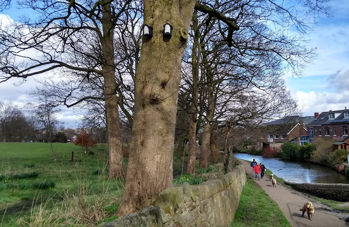 marplewebsite's tweet photo. 18 new bird boxes and 8 new bat boxes funded by @stockporthydro, @SeniorMarple and #FoMMP 50-50 Club have been installed in #Marple Memorial Park over winter. Let us know if you spot any new occupants when out for a stroll in the park! Full details here: https://t.co/mogZj3NVqH https://t.co/swrph78usA