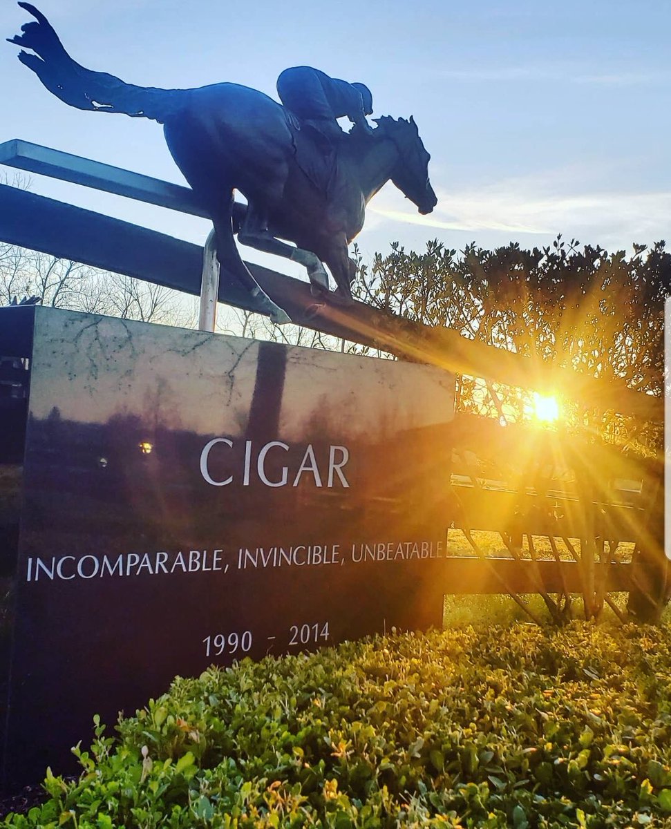 Kentucky Horse Park tweet media