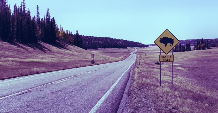 Bison Trails to add Solana blockchain when mainnet goes live 
► decrypt.co/23598/bison-tr…