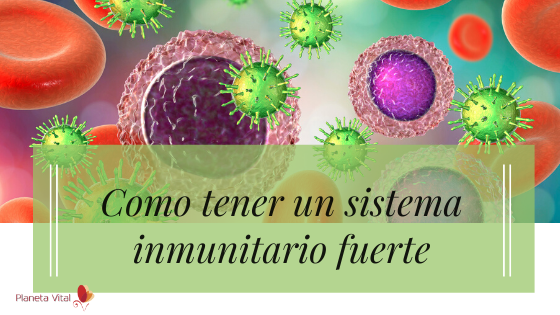 mvictoriaperez's tweet photo. Tener el sistema inmunológico fuerte y en condiciones puede ser fundamental para que nuestro organismo resista el ataque de numerosos virus y bacterias. https://t.co/a0W3nzP8KD

#sistemainmunologico #defensasnaturales #naturopatia #saludnatural #planetavital https://t.co/D77SZWKINO