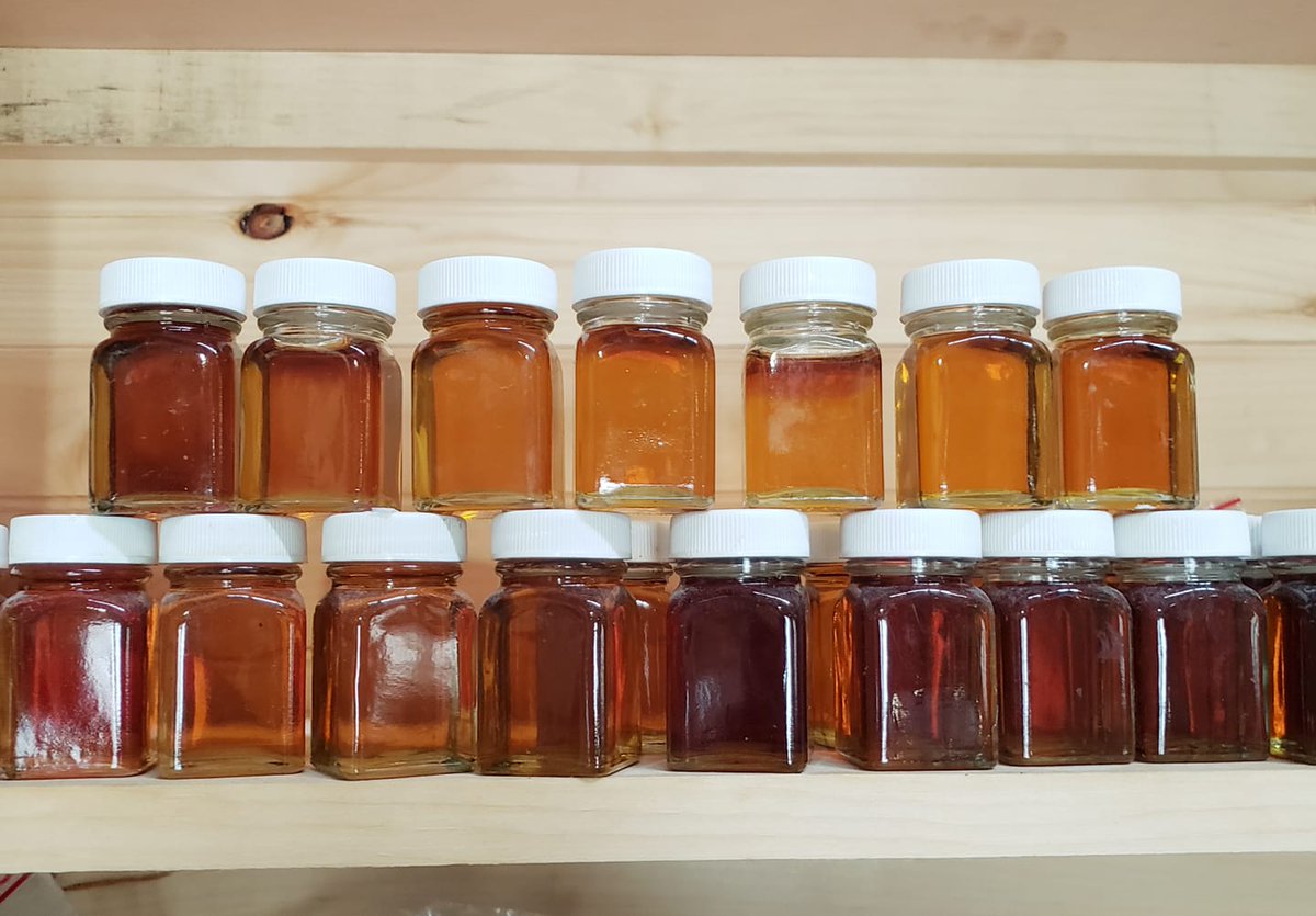 The different shades of the season. 😍🍁🔥🥰❤🧡 #nhmaple #sugaring <a href="/BENSSUGARSHACK/">BEN'S SUGAR SHACK</a>