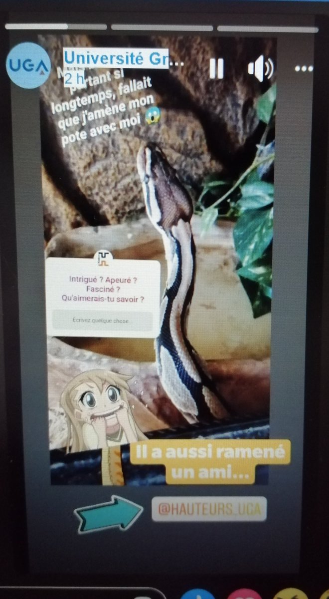 DitDamien's tweet photo. On nous a redonné carte blanche pour parler des doctorants confinés sur @Hauteurs_UGA :p #sciencecontinues https://t.co/gQkbkfxsoL