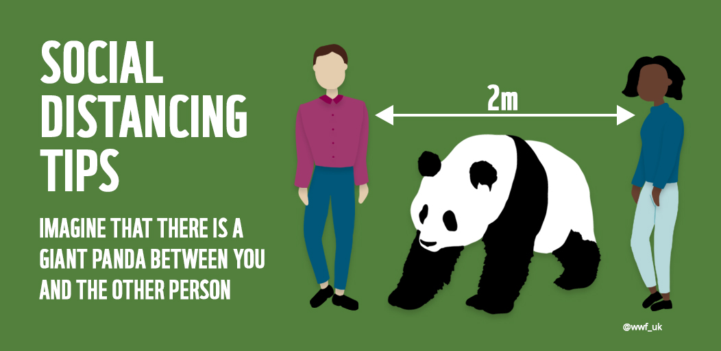 wwf_uk's tweet photo. #StayHomeSaveLives 

And remember to stay at least 2m (or a giant panda) away from others when you go out to buy food or other essentials. #COVID2019 https://t.co/50VnbTwKr0