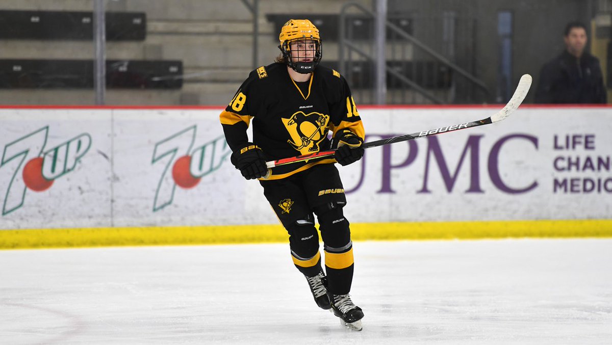 Congratulations to Logan Cooley on being named to the U.S. National Team Development Program U-17 team for the 2020.21 season. The forward from West Mifflin began playing hockey with Sidney Crosby's Little Penguins program in 2008.09. Full details: pens.pe/39mnneX
