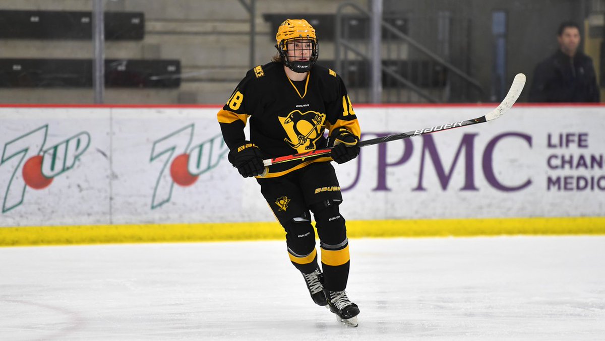 penguins's tweet photo. Congratulations to Logan Cooley on being named to the U.S. National Team Development Program U-17 team for the 2020.21 season.

The forward from West Mifflin began playing hockey with Sidney Crosby's Little Penguins program in 2008.09.

Full details: https://t.co/55bOFODqya https://t.co/0XNcGnHSf3