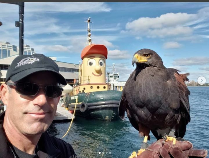 TheodoreTugboat's tweet photo. Hey friends! How many of you met my two waterfront pals, Paul and Nova, during their Waterfront walks last summer? I hope to see them again this season...and I hope you will too! 😊

📸: @atlanticfalconry #Instagram #Halifax #MyWaterfront https://t.co/QarNsoXvPk