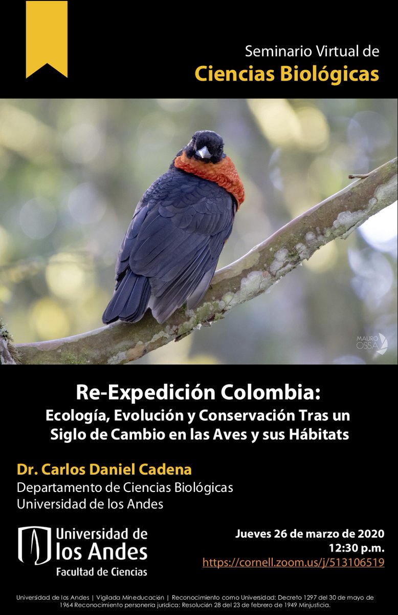 HOY - Seminario Virtual de Ciencias Biológicas, ahora abierto a todos vía web. Conferencista Dr. <a href="/cdanielcadena/">daniel cadena</a> - "Re-Expedición Colombia: Ecología, Evolución y Conservación Tras un Siglo de Cambio en las Aves y sus Hábitats". 12h30 pm via Zoom cornell.zoom.us/j/513106519 favor RT