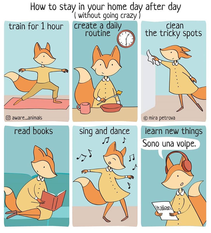 AwareAnimals's tweet photo. How are you doing staying at home day after day? I'm not going to lie to you - I'm starting to feel a bit crazy which inspired me for this comics.
Stay home, stay safe and don't forget to dance! 💃

#StayHome #comics #webcomics #awareanimals
#StaySafeStayHome #ThursdayMotivation https://t.co/d4lZKJk5jZ