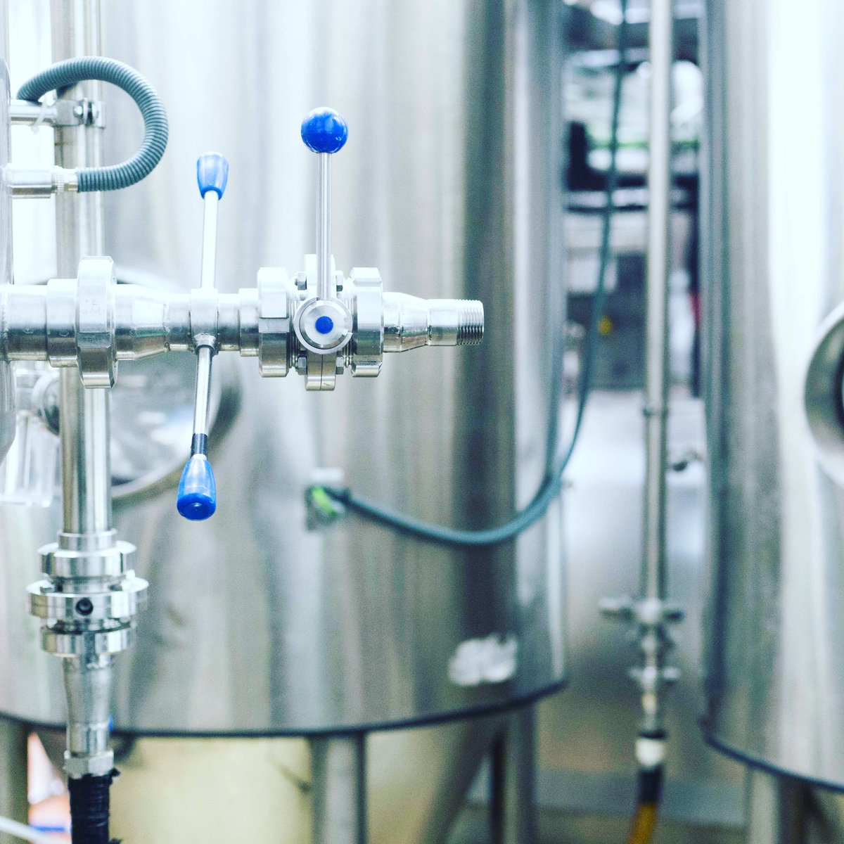 Abierto el plazo de matrícula del curso online La microcervecería como modelo de negocio, 100% #Online y con tarifa única reducida especialistaencerveza.com/3564-2/