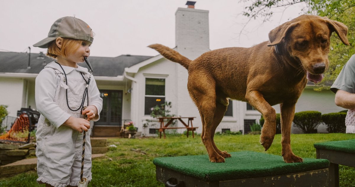 Gunner_Kennels's tweet photo. We got plenty of dogs & kids in this year's Gunner Effect that warmed our hearts – are there any new categories you think should be introduced in next year's #GunnerEffect21 contest?
Photo: @canaoutdoors | https://t.co/9cBLnUVjCS
https://t.co/JZN8PSvuCu