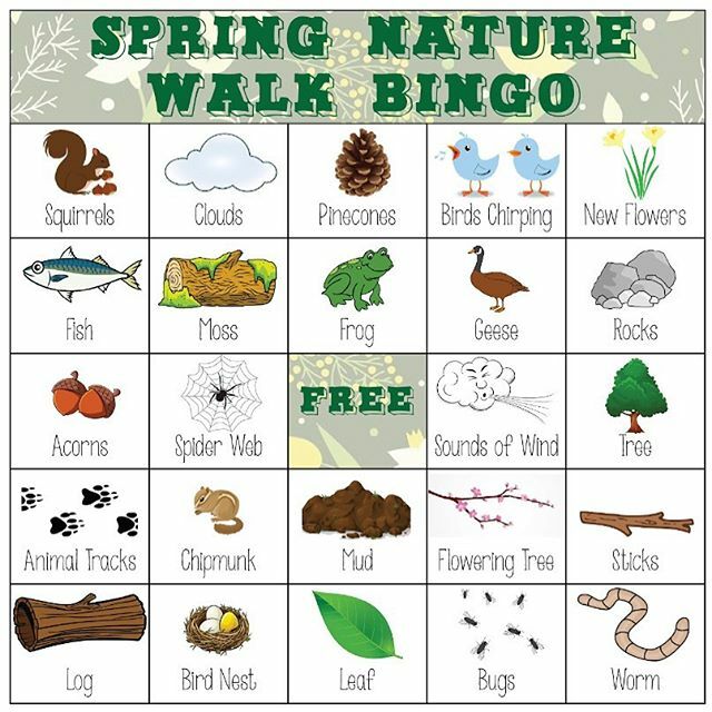 Your teachers are challenging you to a Nature Walk Bingo game! Make sure you check out our video of the Kindergarten teachers facing off! You can also go to the link in our bio to download your own Bingo Board. Make sure you send us some photos so we can… ift.tt/33P0cc8