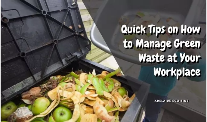 adelaide_bins's tweet photo. Quick Tips on How to Manage Green Waste at Your Workplace

Know more at https://t.co/JGi86vkKek

#GreenWasteAdelaide
#GreenWasteDisposalAdelaide https://t.co/6asmCJglIH