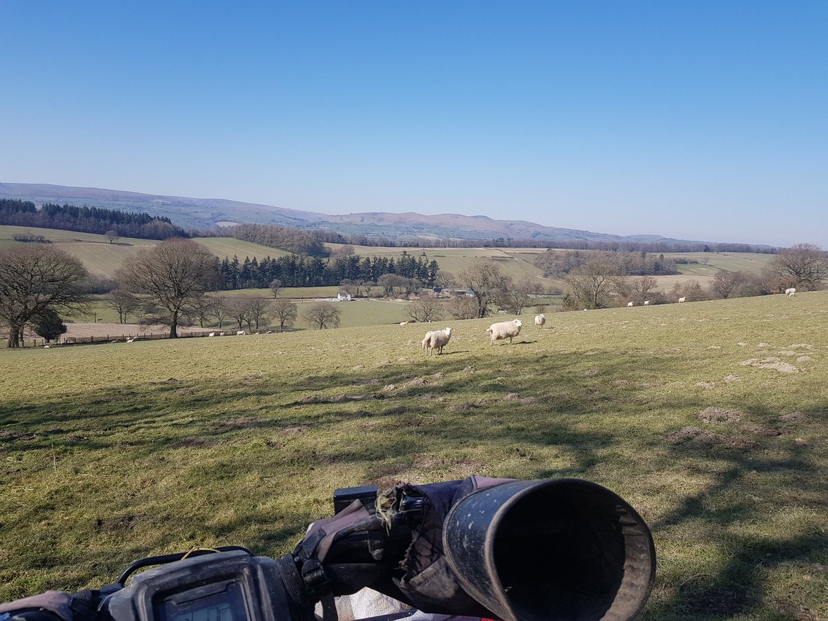 Jameshendy99's tweet photo. Outdoor lambing isolation #UKLockdownNow https://t.co/NJ0I8BrC8h