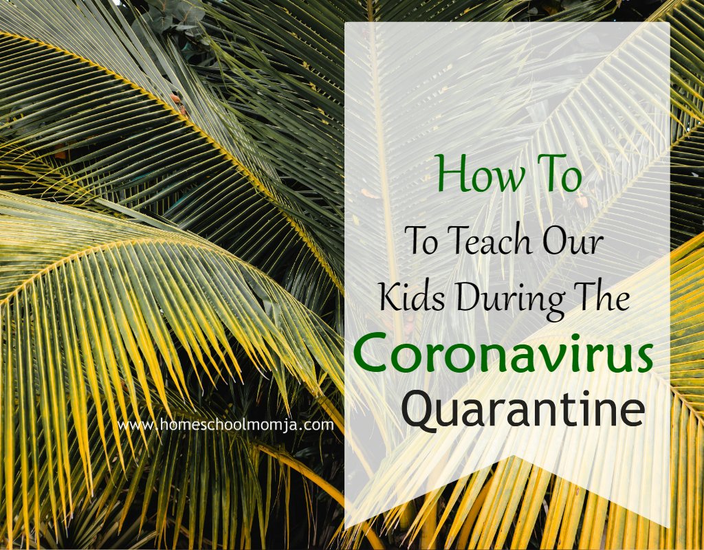 karismatikkween's tweet photo. Homeschooling – The New Coronavirus Norm (Pt. 2) https://t.co/NmzQ985Vje https://t.co/dz5zkmWQV0
