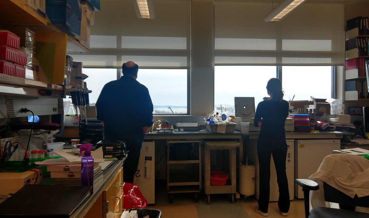 Cox Lab tweet media