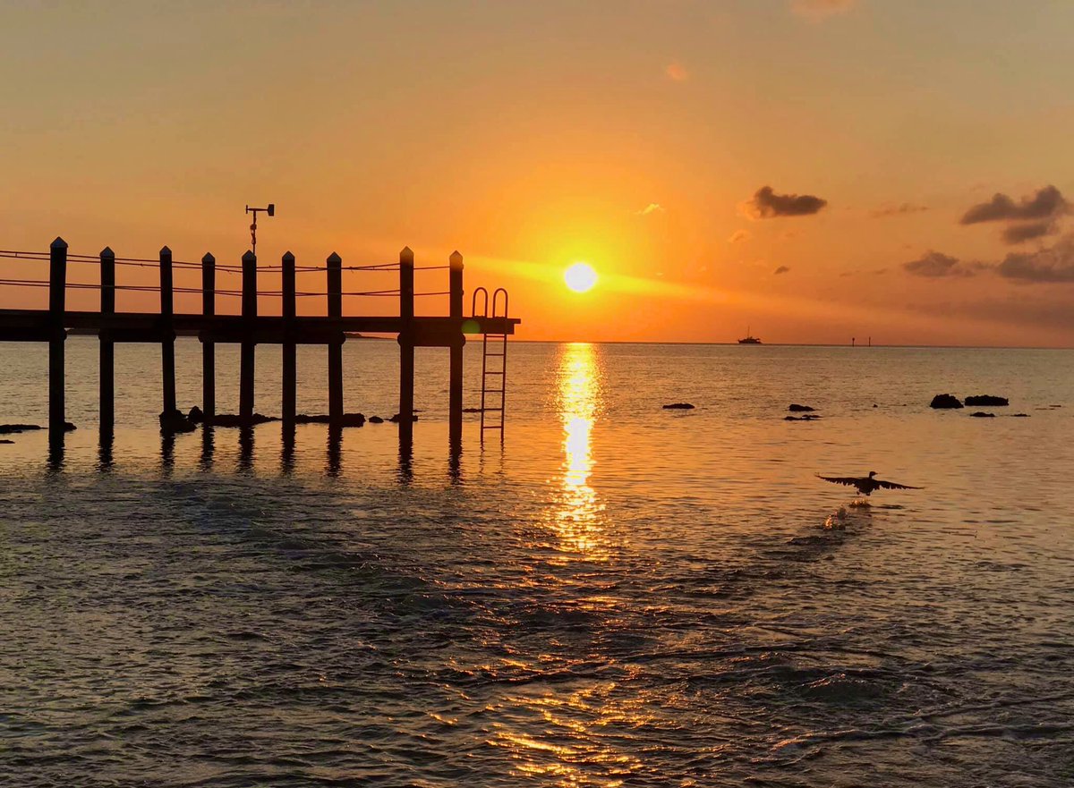 thefloridakeys's tweet photo. A reminder to take it one day at a time, be positive and to use common sense to take care of yourself and those you love. Today’s #FloridaKeys sunrise from Islamorada. https://t.co/fuurnQmafq