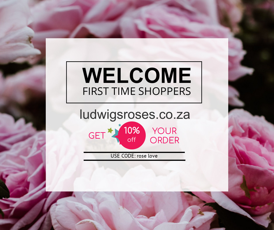 We love making new friends - virus free - online! 
To celebrate our new shoppers we are giving all first time customers 
10% off on their entire order. 
At checkout just use the promo code: rose love
