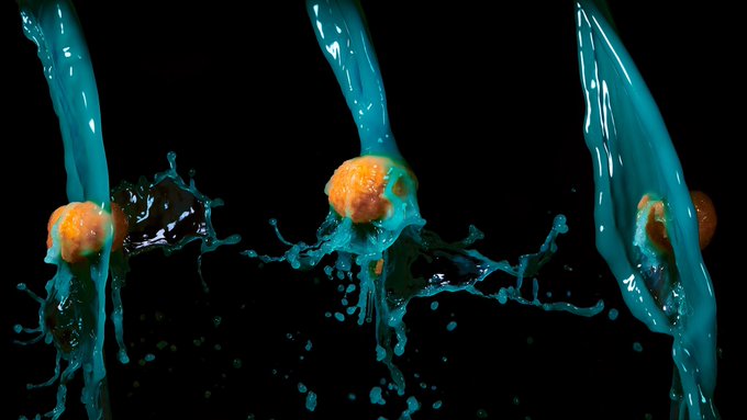 My current COVID-19 collection.  Next up: pet portrait photography. Then my macro butthole series. Ya<a href="/tag/mvsales"class="tags"><span>#mvsales</span></a><a href="/tag/mvtrans"class="tags"><span>#mvtrans</span></a>