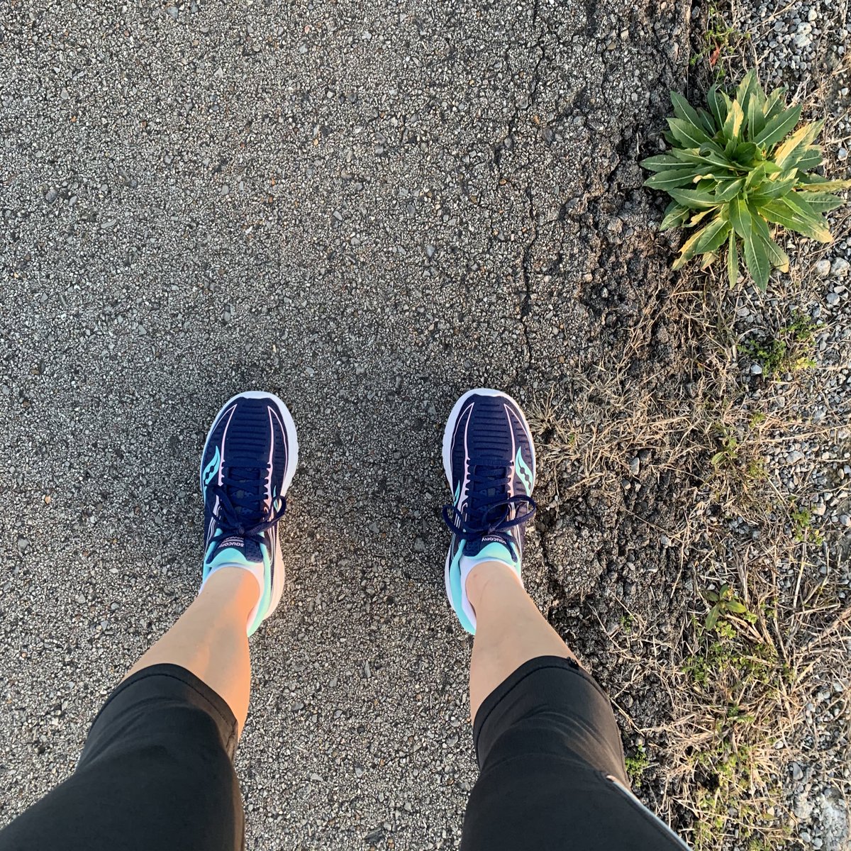 MerTighe's tweet photo. Thanks for the fresh shoe & sock delivery to Nashville @PRRunning. I love you guys. #prrunningfamily https://t.co/gUvqJ3k2v4