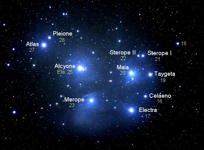 Звезды и их названия. Созвездие Плеяды. Созвездие Плеяды Стожары. Альциона звезда Плеяды. Плеяда Созвездие 7 сестёр.