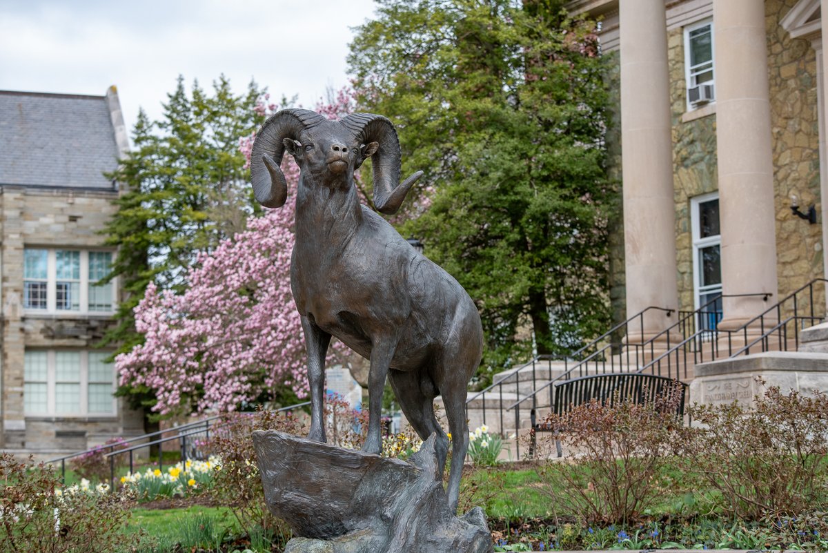 WCUofPA's tweet photo. Just because you aren't on campus, doesn't mean you shouldn't enjoy these views 👀☀️🌷 https://t.co/ggXLWCM2z4