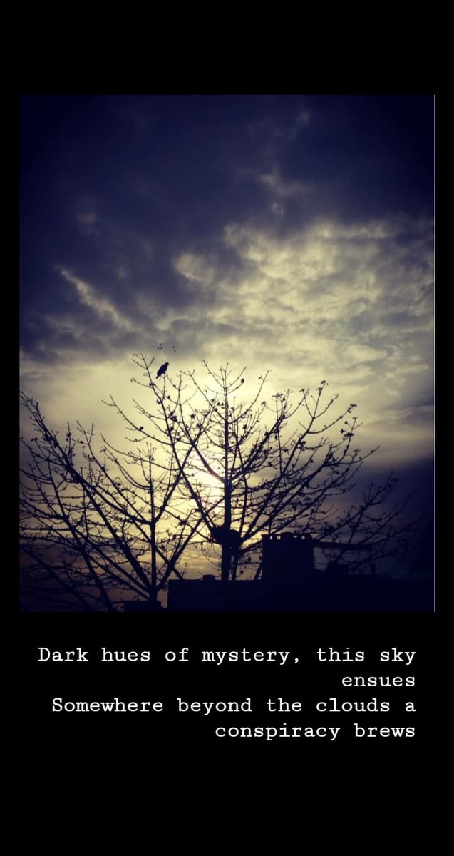ameestweets's tweet photo. Dark hues of mystery, this sky ensues
Somewhere beyond the clouds a conspiracy brews https://t.co/lV2MMQbwyF