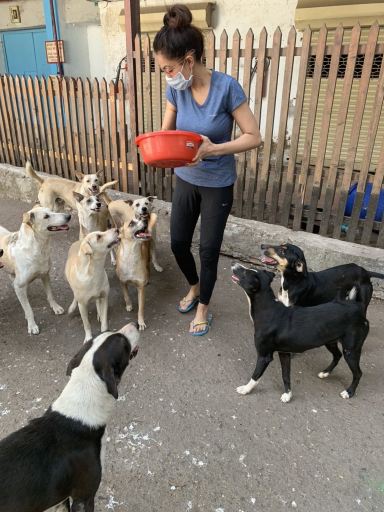 moonstar4u's tweet photo. Have been taking necessary permission from the police and travelling to my workplace to feed them. God bless these souls. 
Help them please in whichever little way you can 🙏🏻
They get hungry and thirsty just like us

#21daysLockdownIndia #coronavirusindia #COVID19 https://t.co/uLswUEWVXS