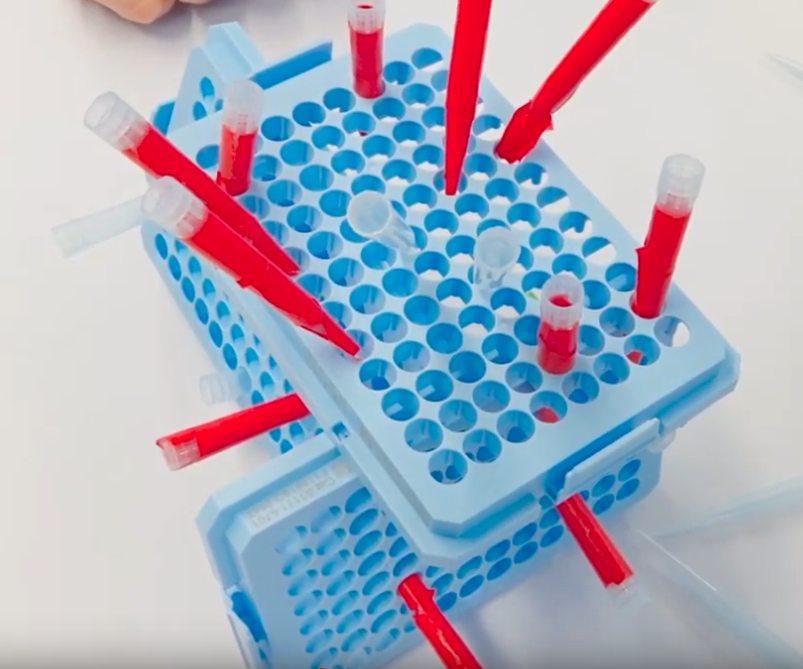 MycoSynVac's tweet photo. Research to fight lung diseases. What did Mycosynvac achieve after 5 years? https://t.co/aC7Ewqcyld https://t.co/oWVk7q8hvJ