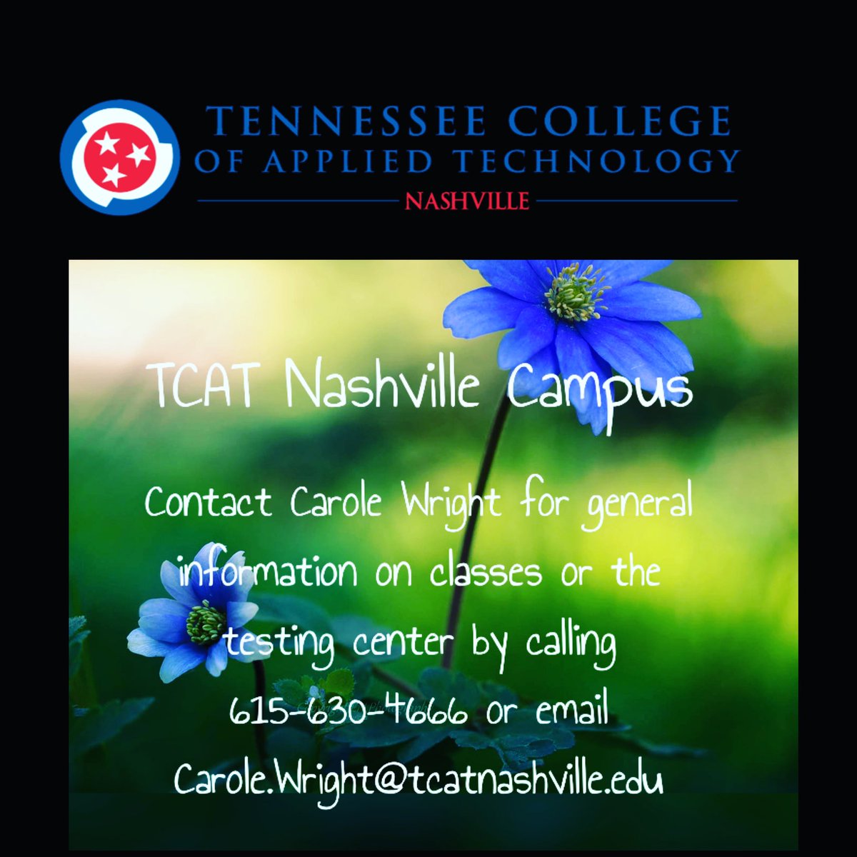 It’s beginning to look a lot like spring time ... 💐 Enjoy the ☀️