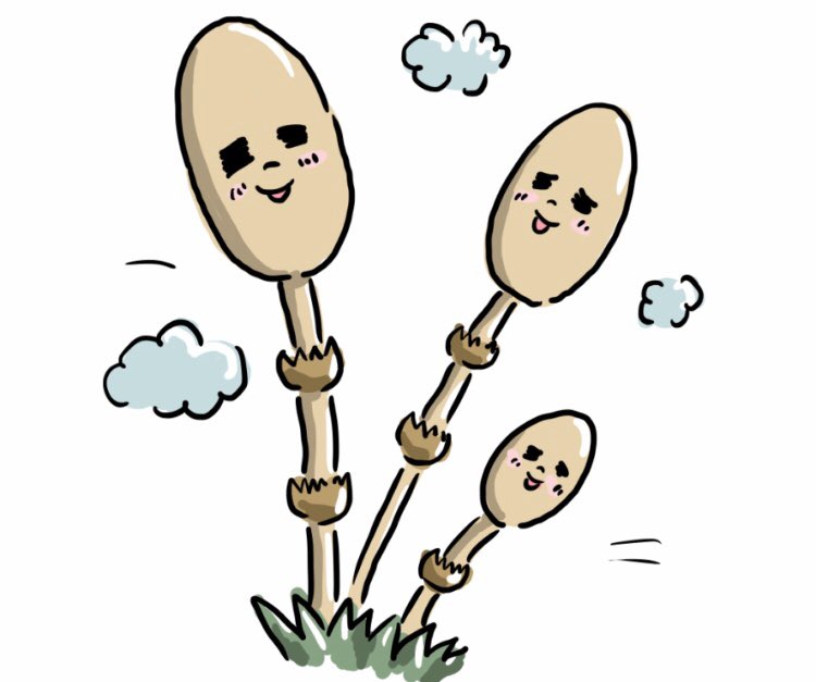 Littlemayworks T Co 4sqcr6mp03 つくし イラスト イラストグラム ゆるい イラスト ゆるい ゆるイラスト 無料素材 フリーイラスト 無料イラスト フリー素材 イラスト好きな人と繋がりたい つくし T Co Uicwzvtrsy Twitter