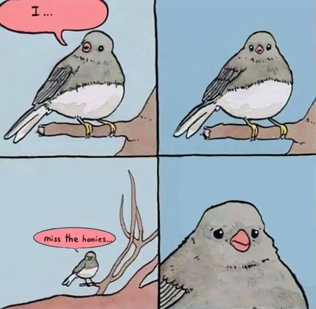 FueguinoOk's tweet image. 