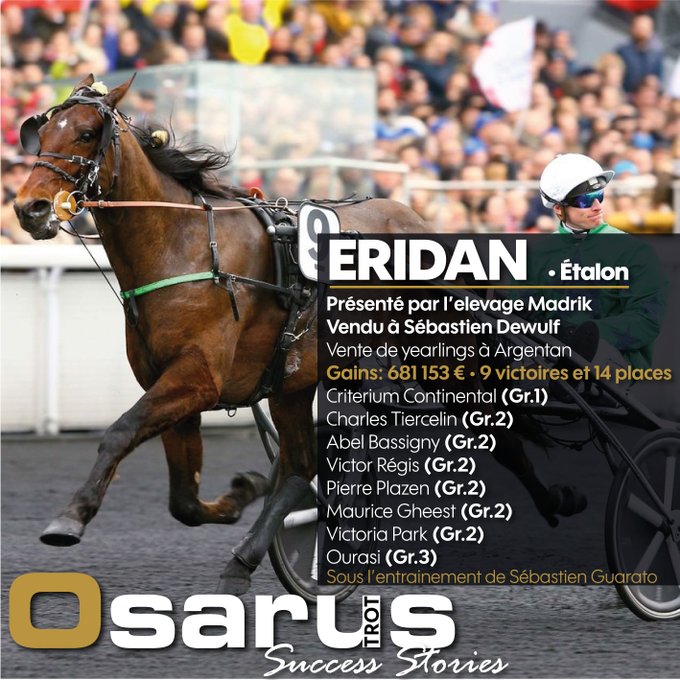 vente trotteur cabourg