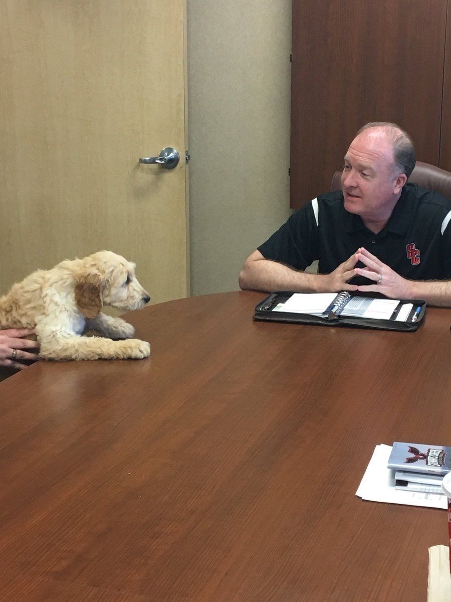 RuCoAthTraining's tweet photo. Talon, from @stewartscreekhs is working to become a Certified Therapy Dog this year.  She is the first in RCS to be enrolled in the program and spends her time cheering up the student athletes.  Thanks @ebsatc and @schs_hosa.  More info: https://t.co/J9RzCCqpmS https://t.co/A7OpKxotiW