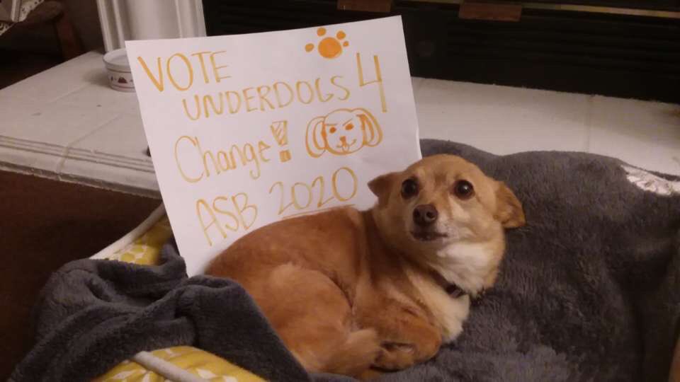 OhsChange's tweet photo. Vote Underdogs for change tomorrow from 11:55-12:25 https://t.co/S2YIJeooDx