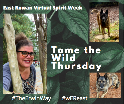 Virtual Spirit Weak Day #4!  The Hell Hounds had to represent!!    #wEReast @ErwinMiddle