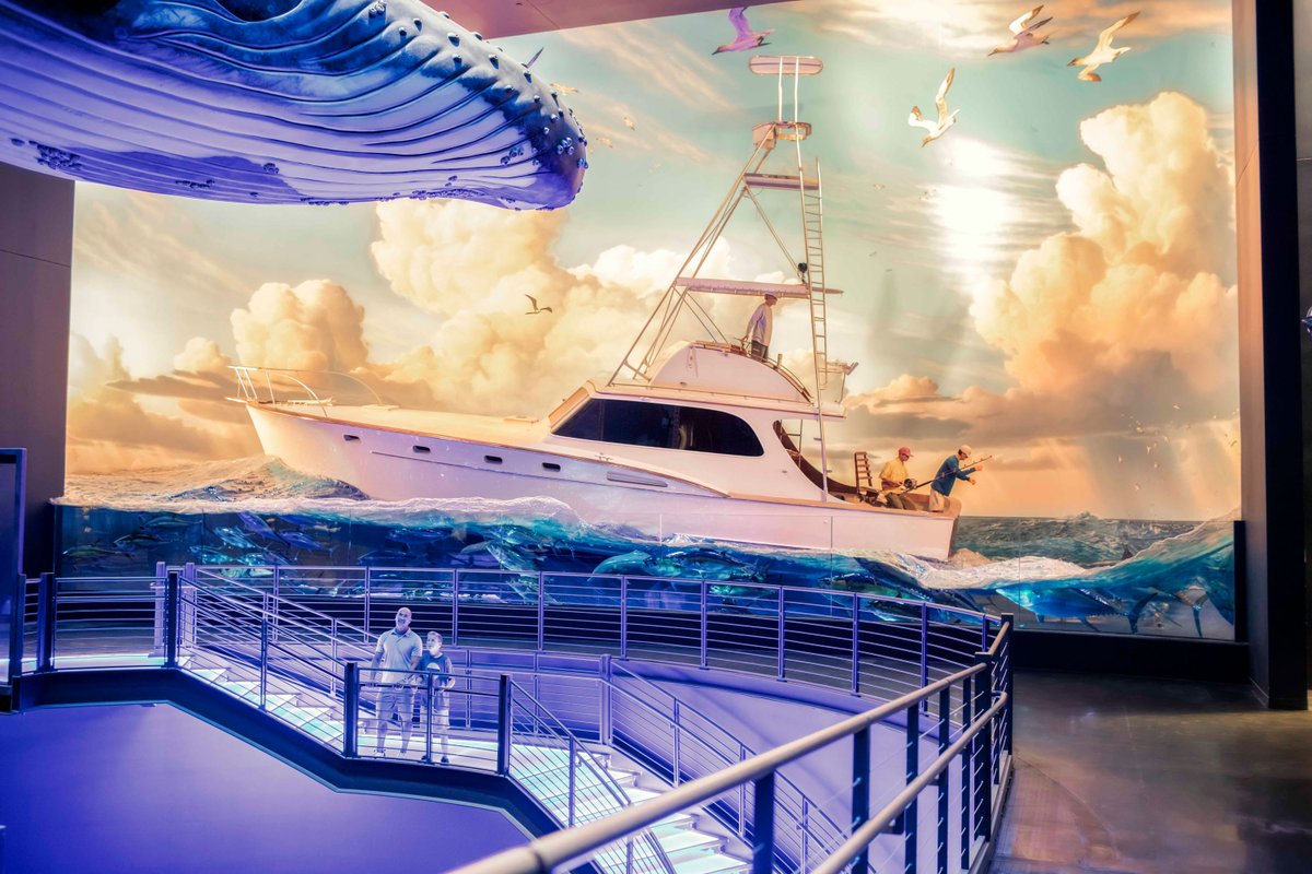 WOWaquarium's tweet image. There's no CATCH to this good news, the Missouri Department of Conservation will temporarily waive fishing permits starting March 27th. Happy Fishing! bit.ly/2UE7Rp9