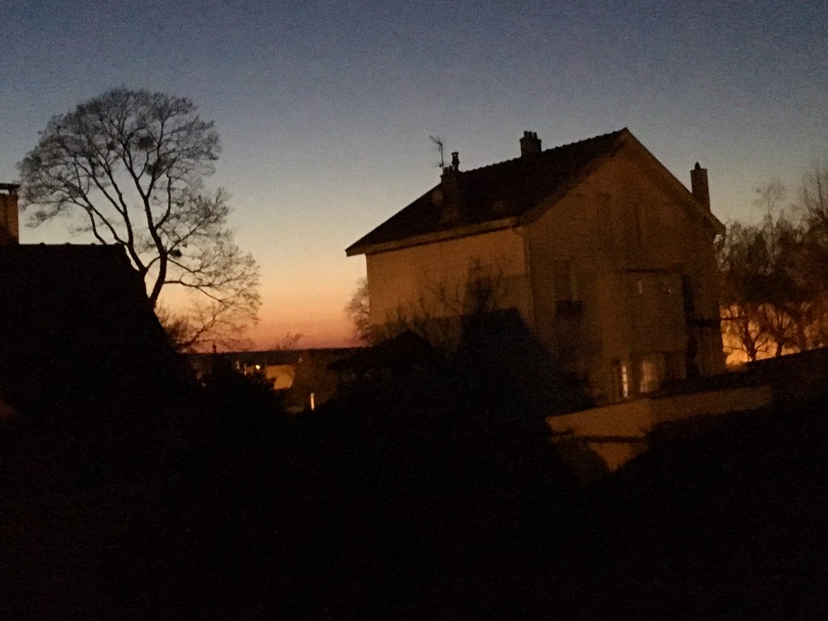 Cathy-Angelique Lepeltier tweet media