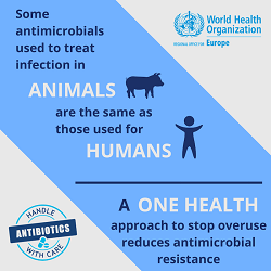 MedRecruitStrat's tweet photo. Moving towards a multisectoral approach to tackling antimicrobial resistance https://t.co/c5DD52W9hv 

Stay updated with our latest news and articles here: https://t.co/RDBgT50hhk https://t.co/rc3QOSRbMh