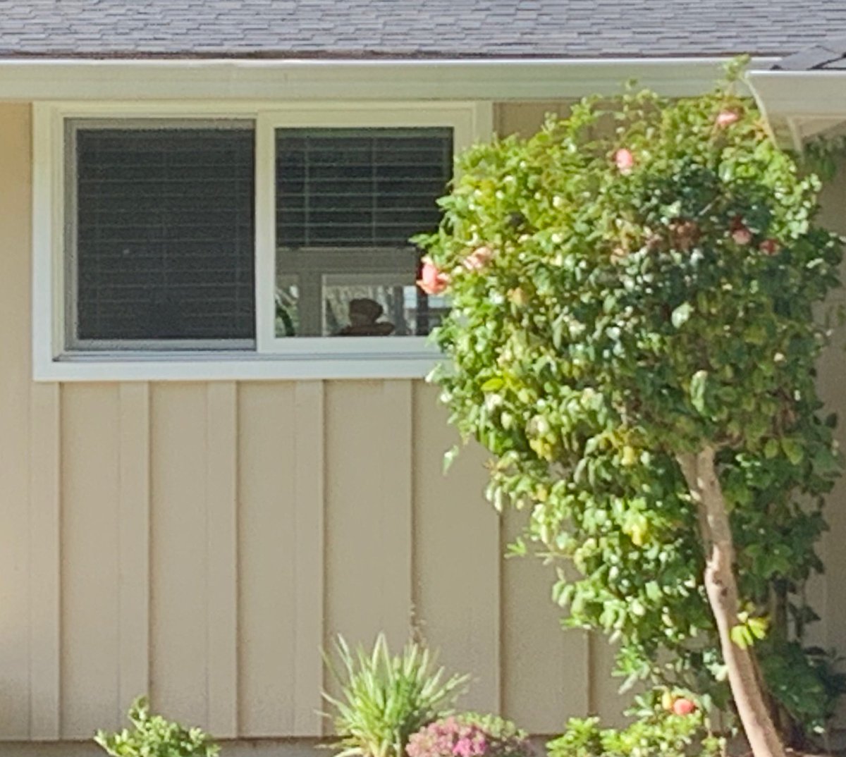 Fremont Police Department tweet media