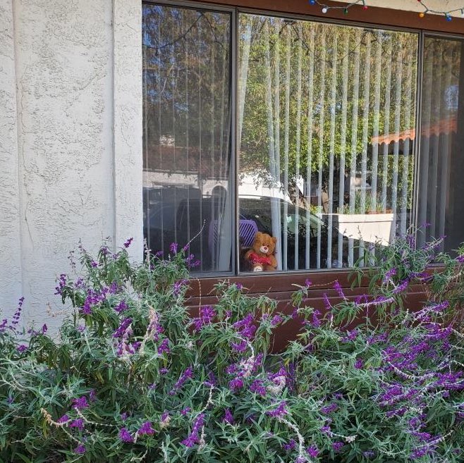 Fremont Police Department tweet media