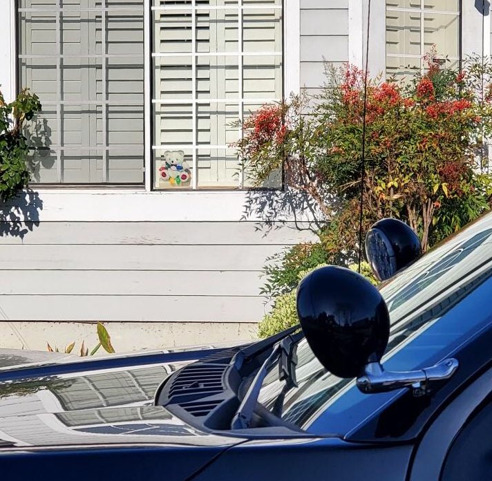 Fremont Police Department tweet media