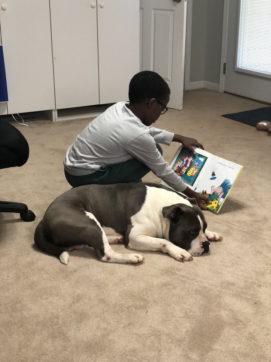 Eric enjoys reading to his dog Blu, especially when Blu decides to stop and listen. 🐶 💥<a href="/bascombbobcats/">Bascomb Elementary</a>