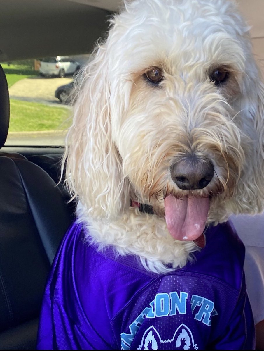 Gina Lindendeldar tweet media