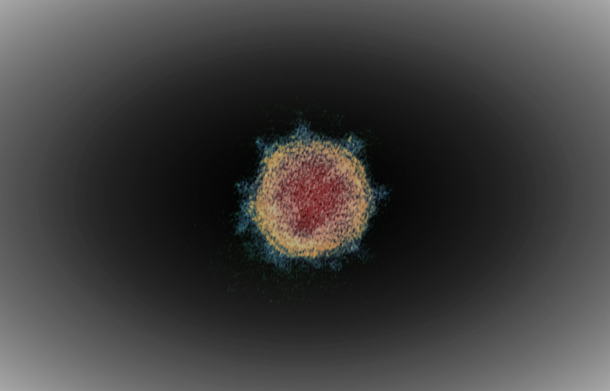 137Films's tweet image. From David MacMillan: how those who identify as creationists are reckoning with Coronavirus. medium.com/@davidstarling…